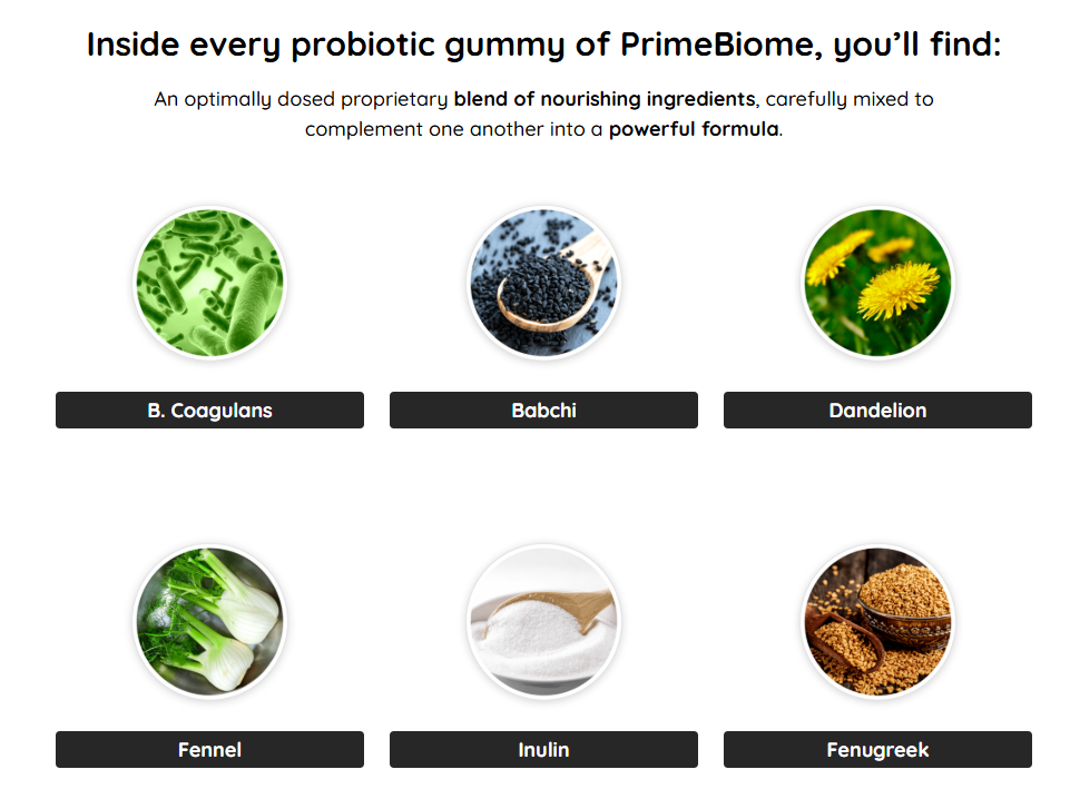 PrimeBiome Ingredients