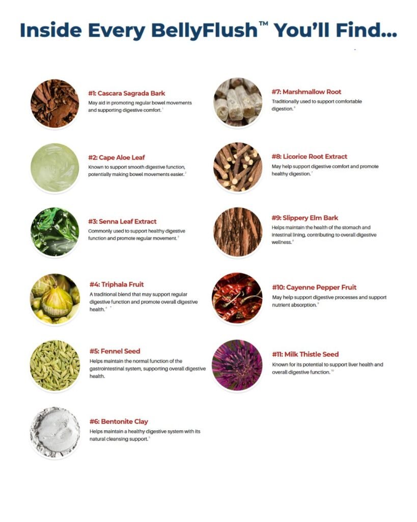 BellyFlush ingredients infographics