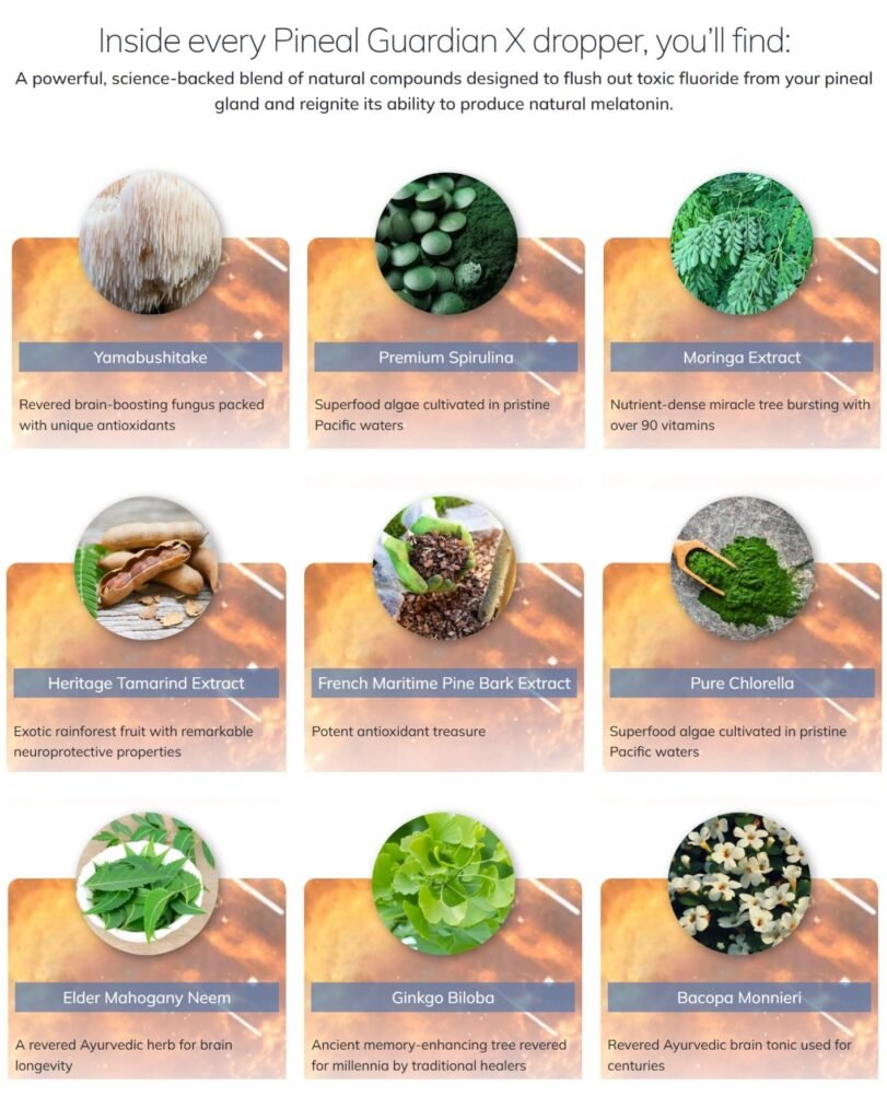 Pineal Guardian X ingredients