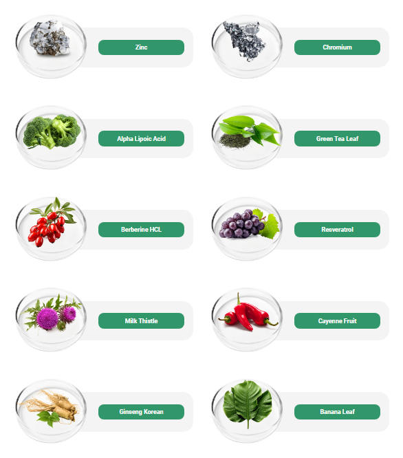 The image shows key Vertigenics ingredients Ginger and Korean Ginseng at the base, symbolizing stability, vigor, and a life free from dizziness.