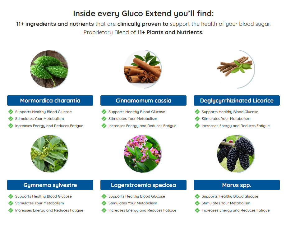Gluco Extend ingredients