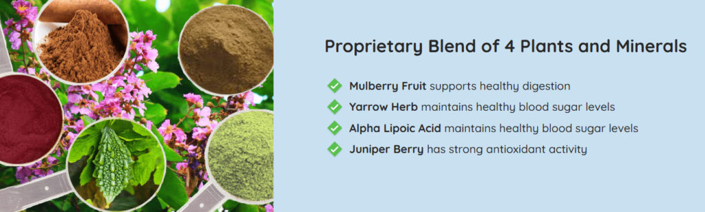 Gluco Extend ingredients