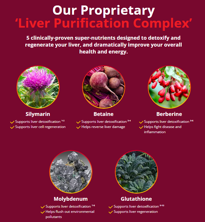 HepatoBurn ingredients liver purification complex