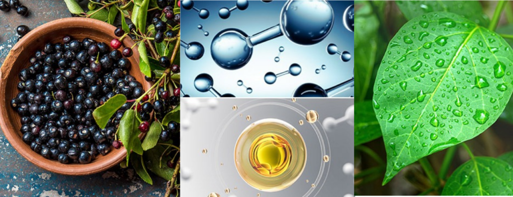 GlucoBerry ingredients