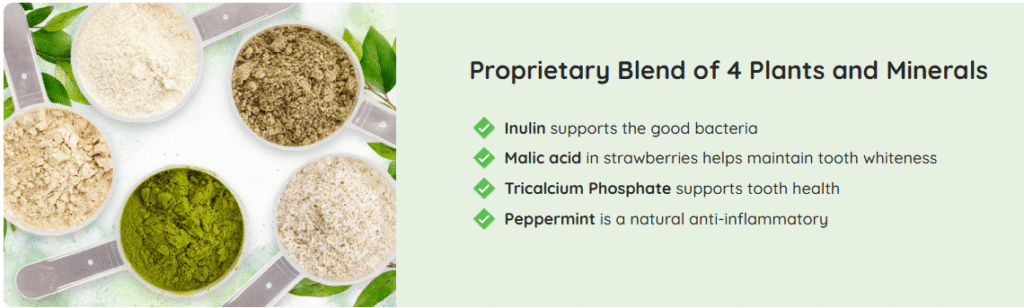 ProDentim supporting ingredients