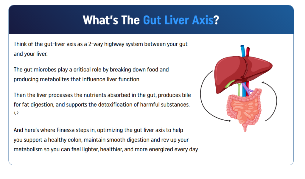 Gut Liver Axis