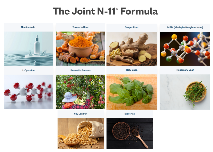 Joint N-11 ingredients infographic showing Niacinamide, Turmeric, and Boswellia Serrata for synovial fluid and joint lubrication support.