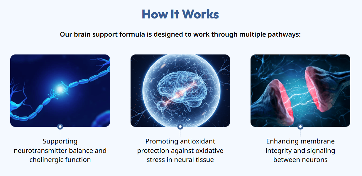 Neura Supplement Review 2026: Does This Brain Booster Really Improve ...